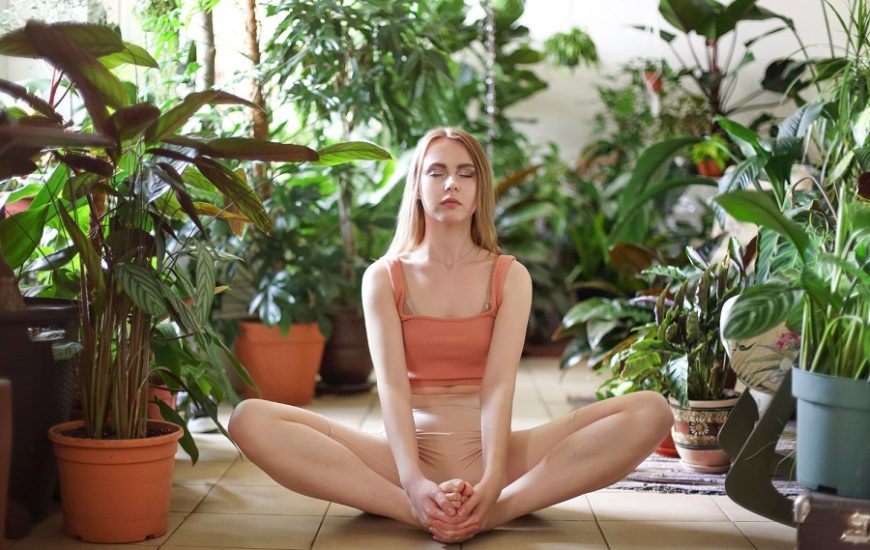 plantes avoir pour faire du yoga